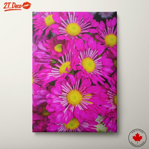 Vibrant Pink Flower Close-Up Artwork