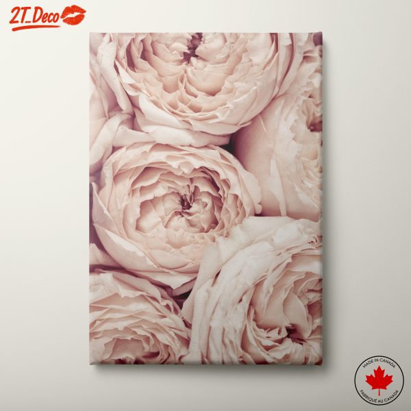 Soft Pink Rose Floral Wall Art