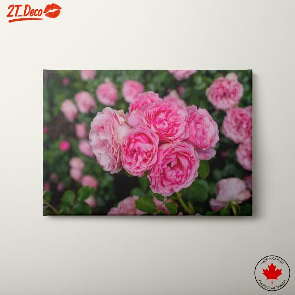 Pink Roses Bouquet Floral Art