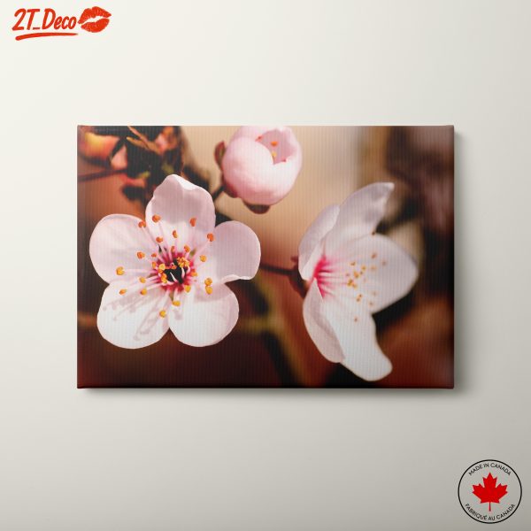 Delicate Pink Flowers in Bloom