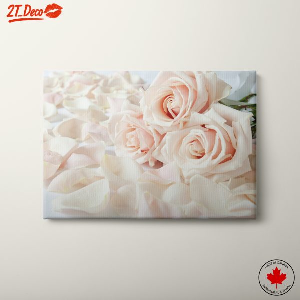 Beautiful Pink Roses and Petals