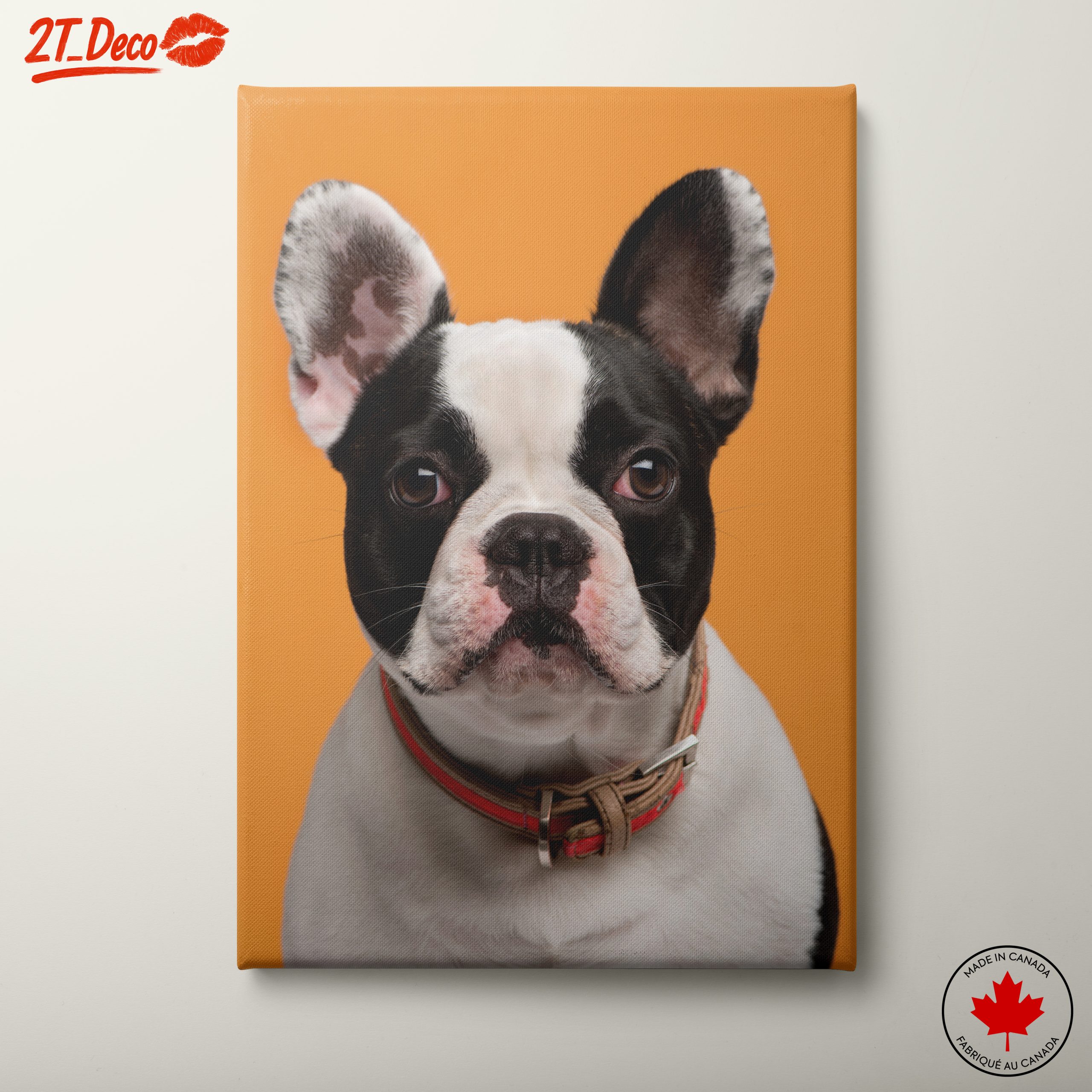 Stylish French Bulldog Portrait
