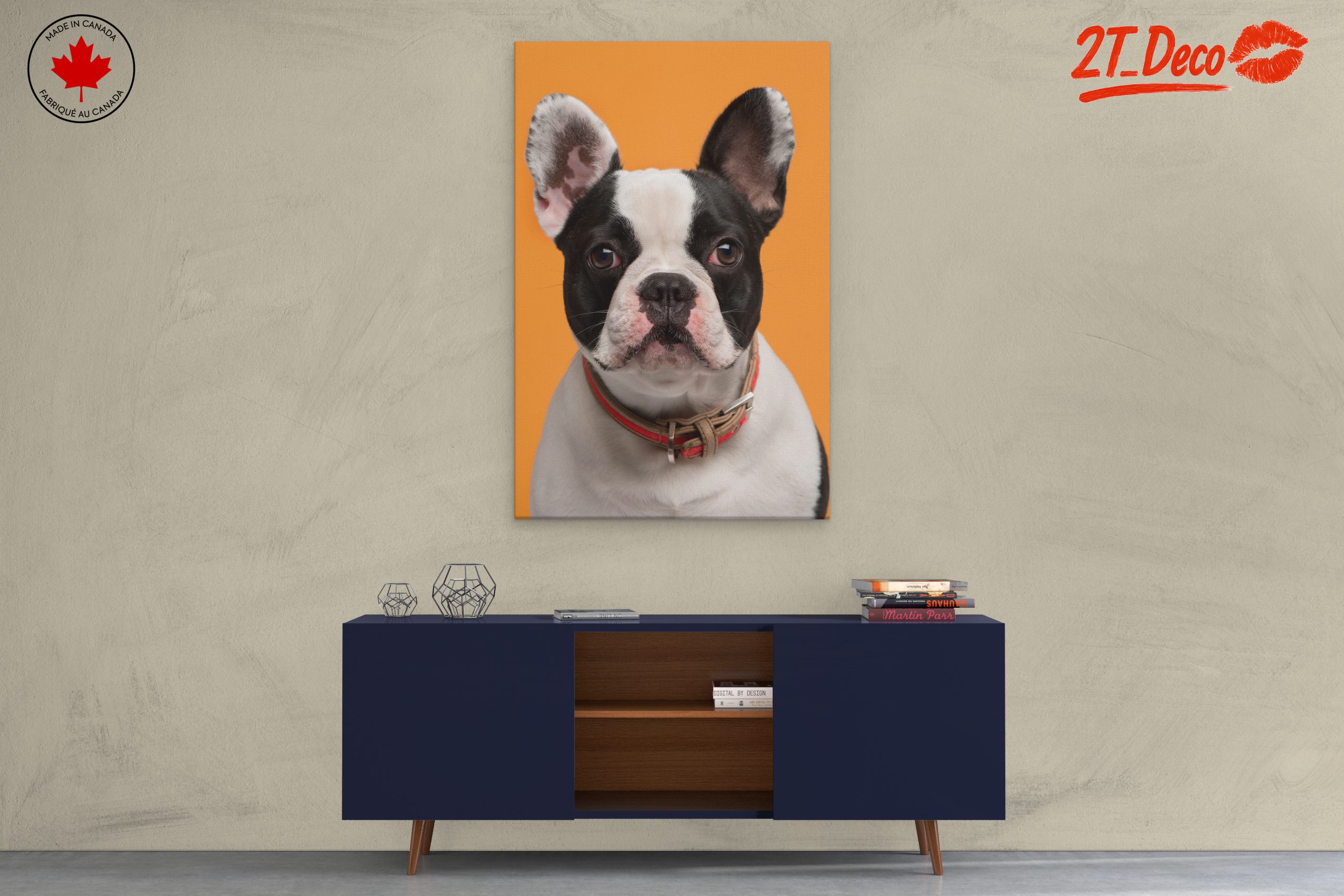 Stylish French Bulldog Portrait - Image 3