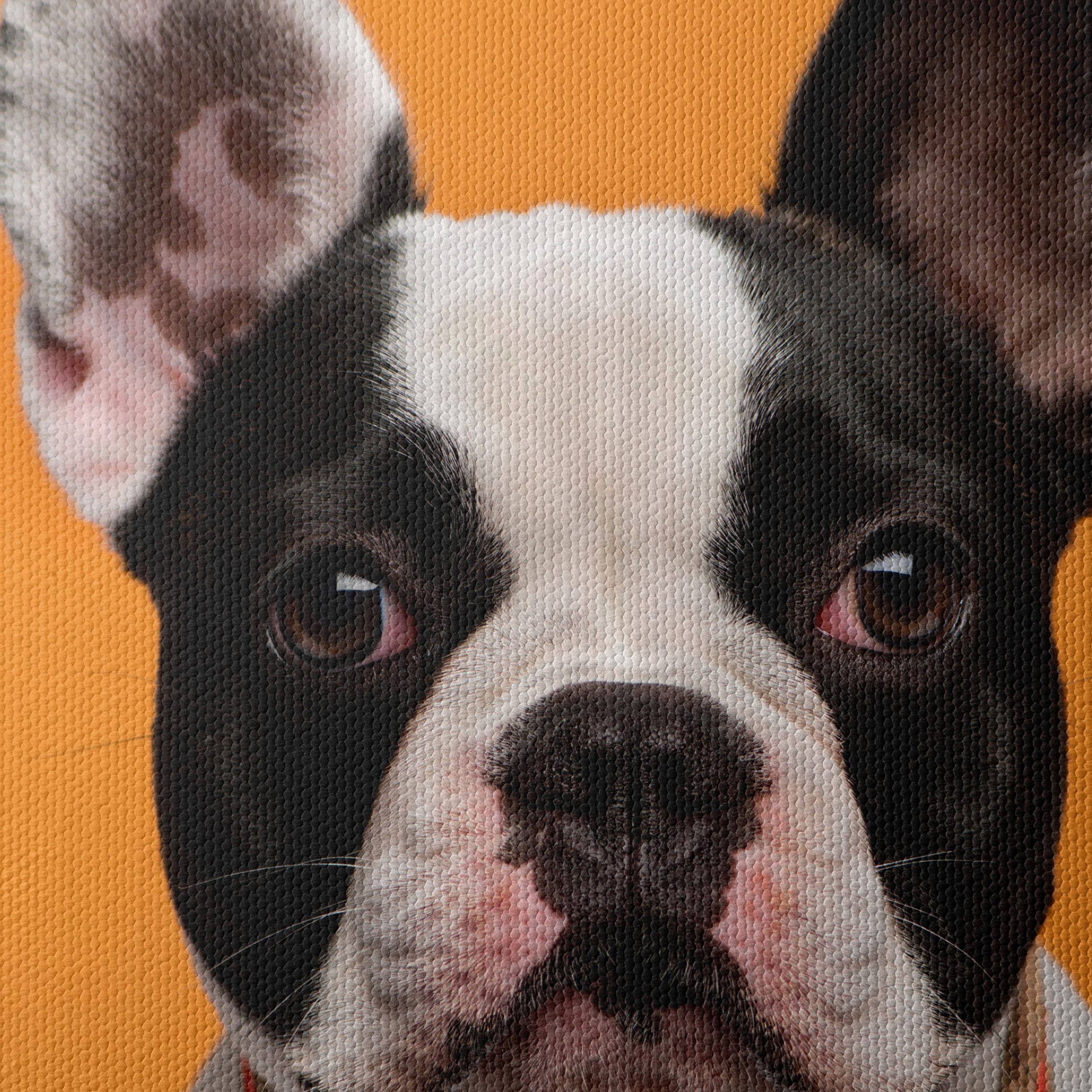Stylish French Bulldog Portrait - Image 4
