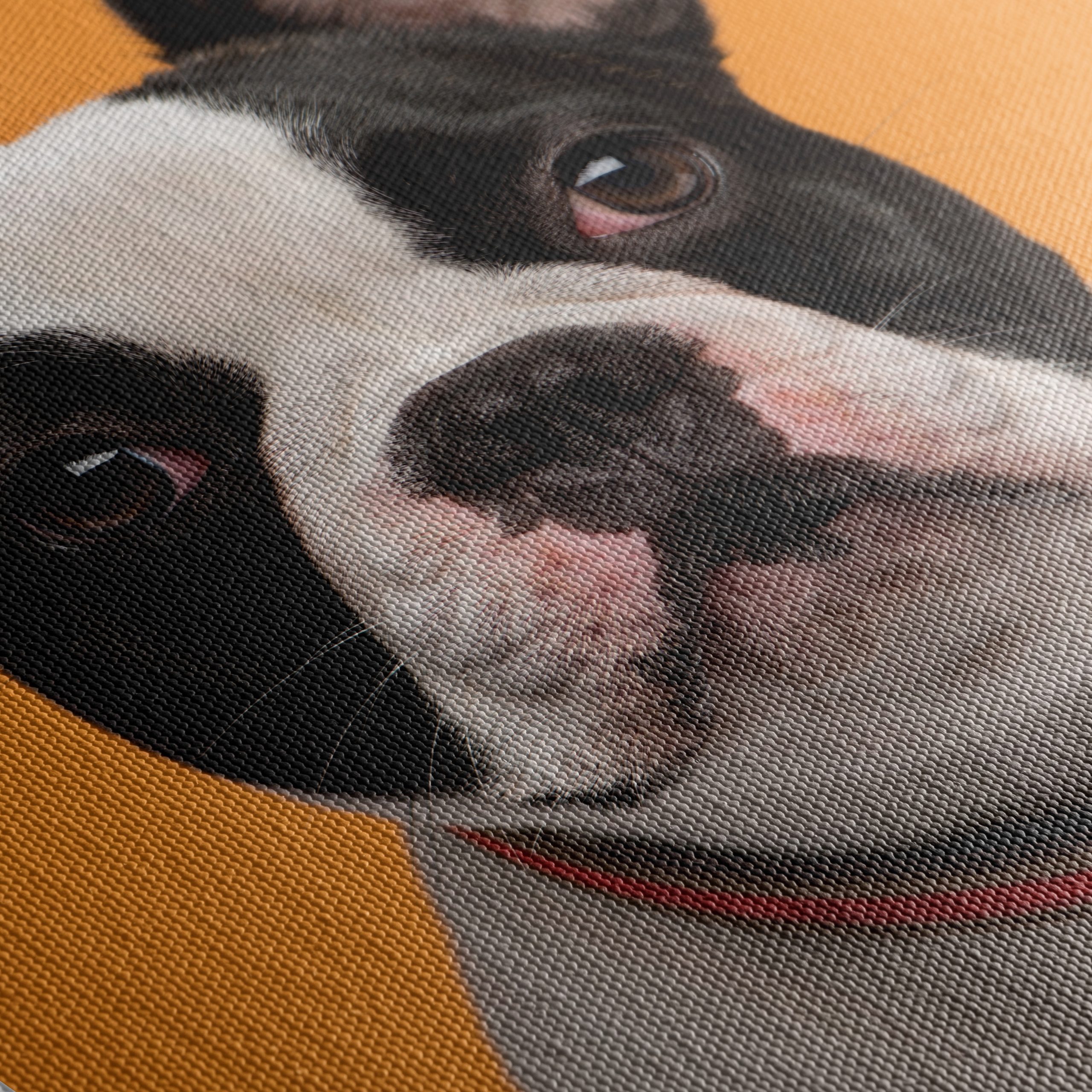 Stylish French Bulldog Portrait - Image 5