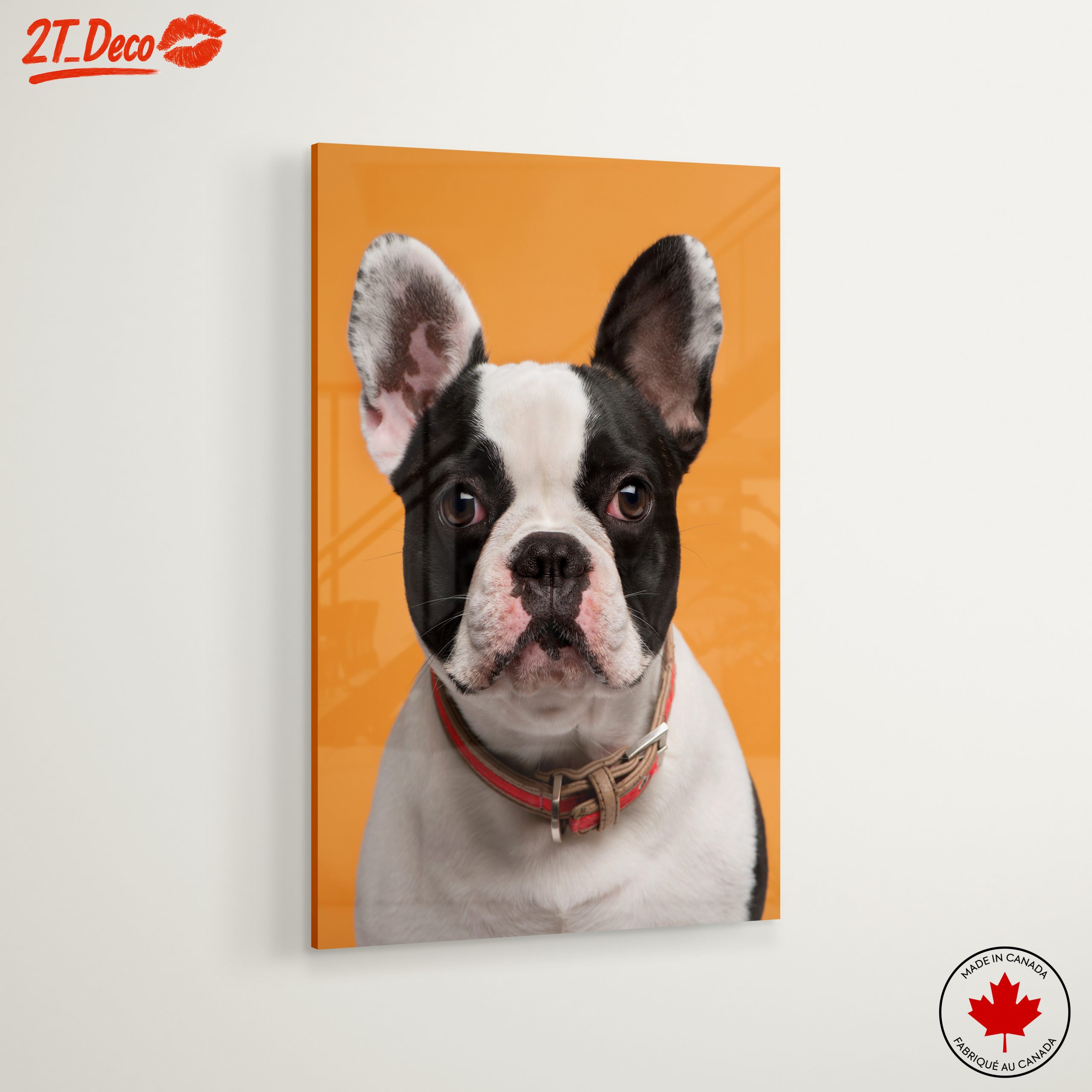 Stylish French Bulldog Portrait - Image 6