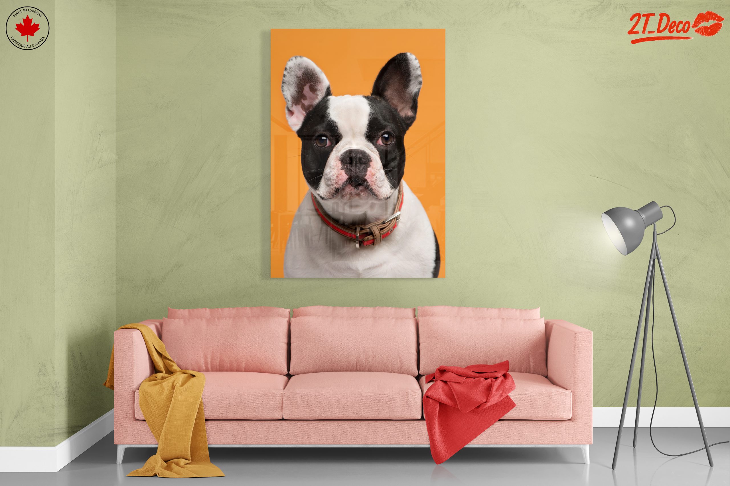 Stylish French Bulldog Portrait - Image 7