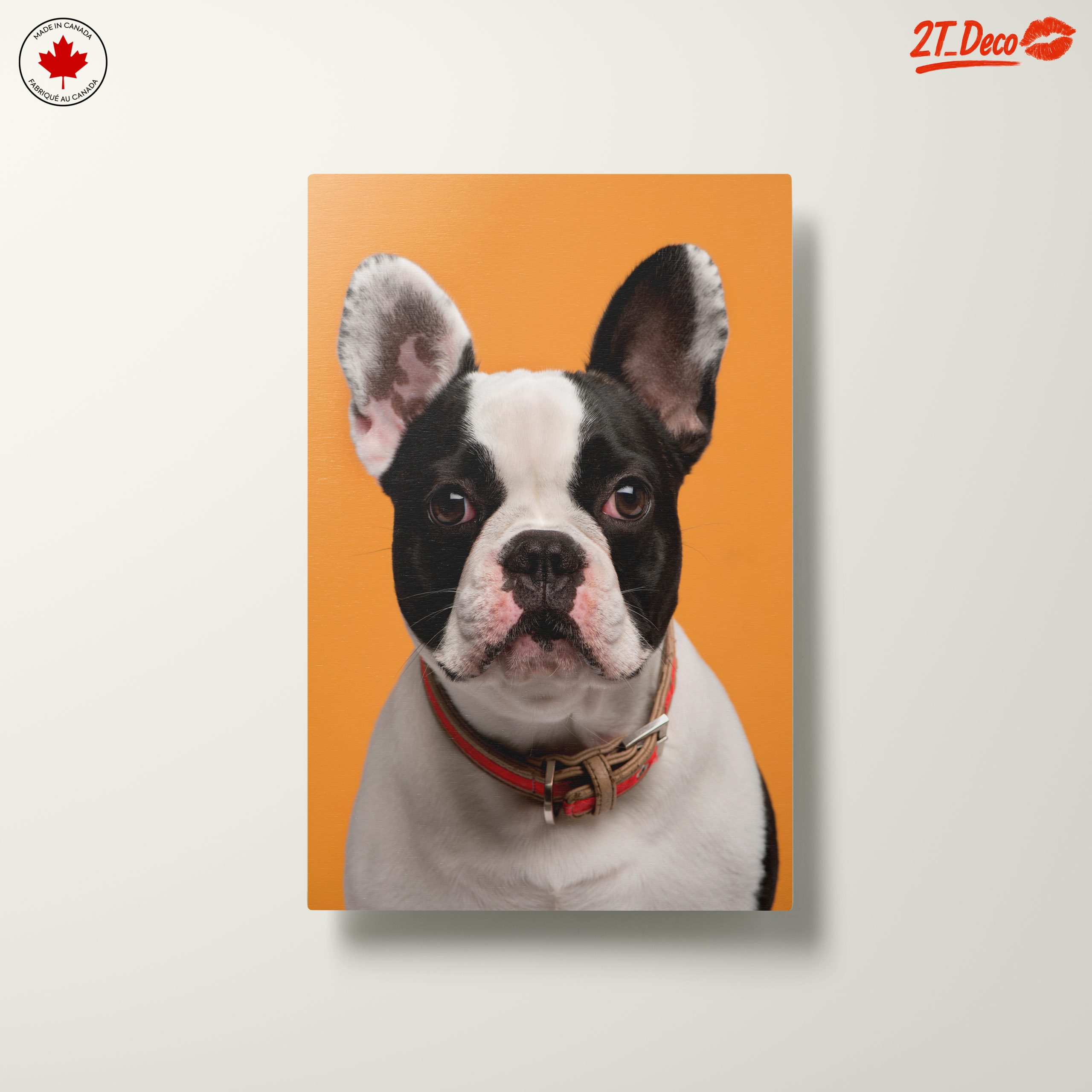 Stylish French Bulldog Portrait - Image 10