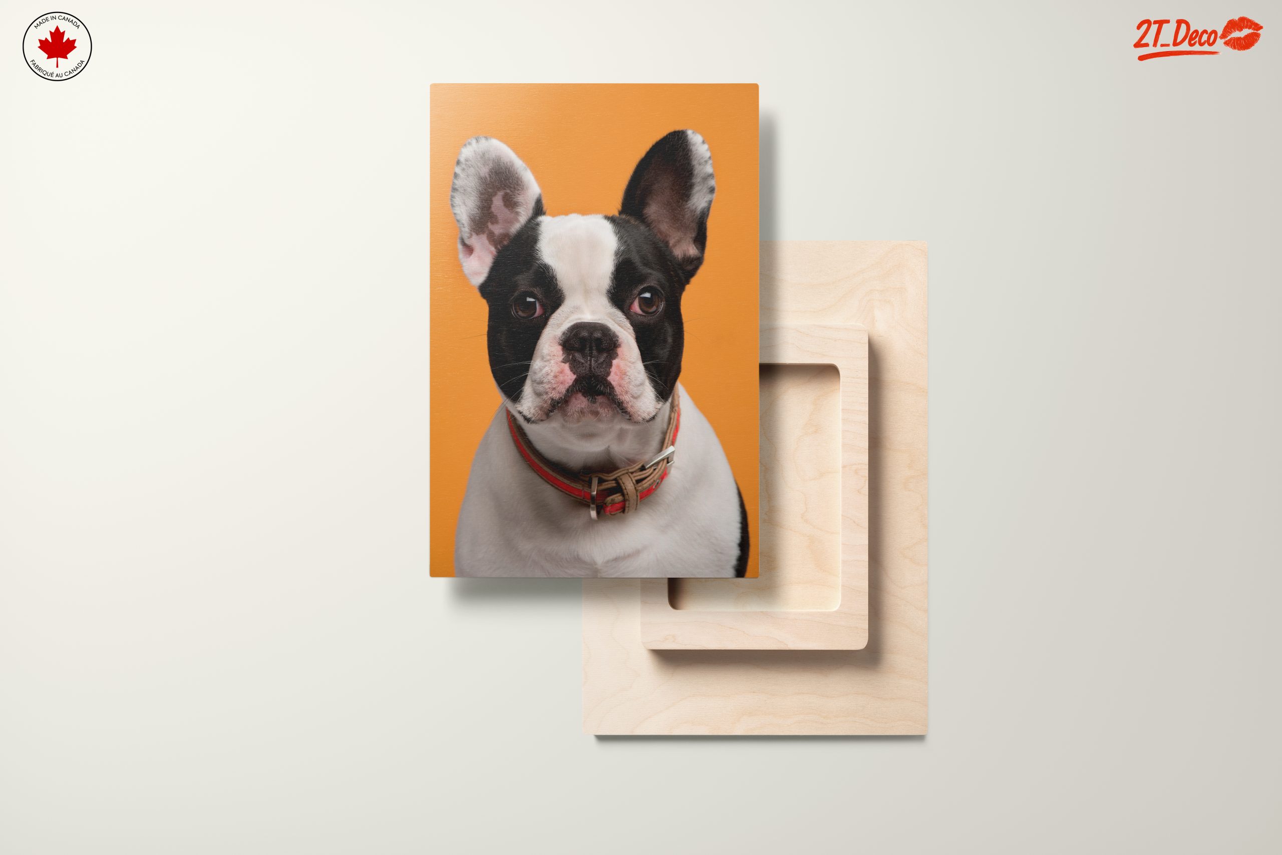 Stylish French Bulldog Portrait - Image 11