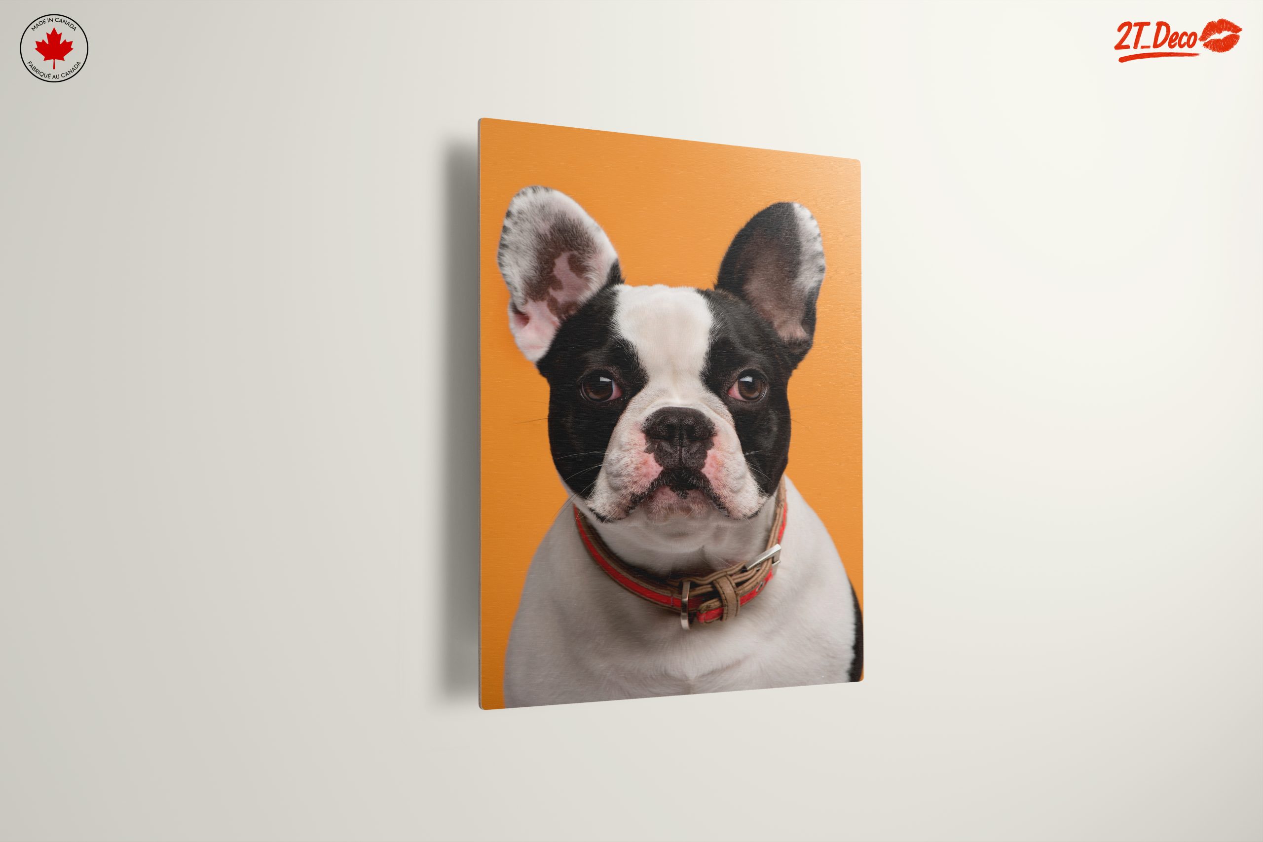 Stylish French Bulldog Portrait - Image 13