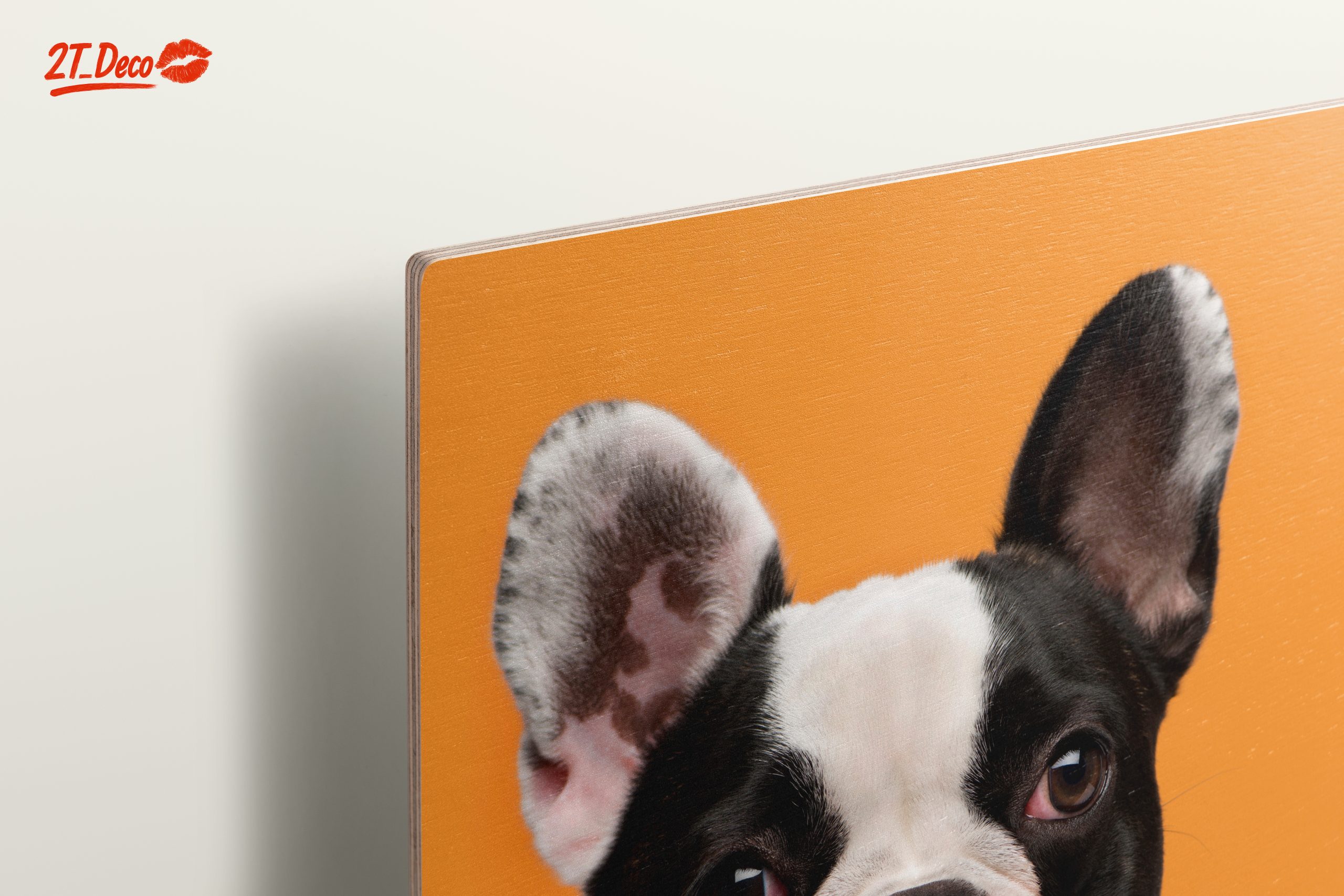 Stylish French Bulldog Portrait - Image 15