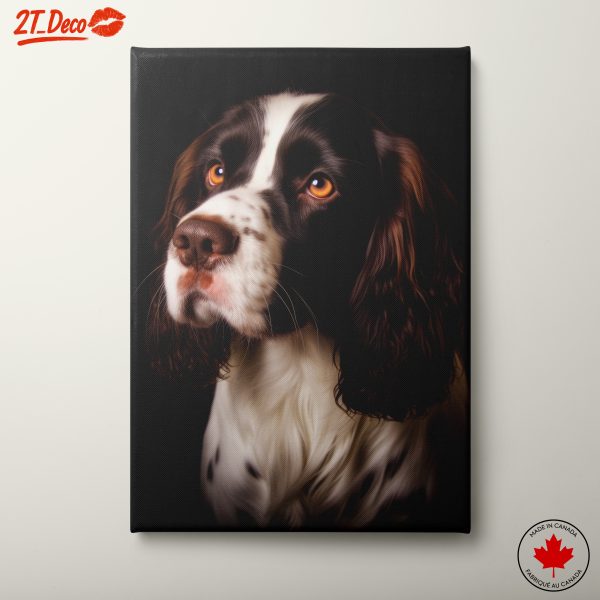 Beautiful Dog Portrait on Black Background