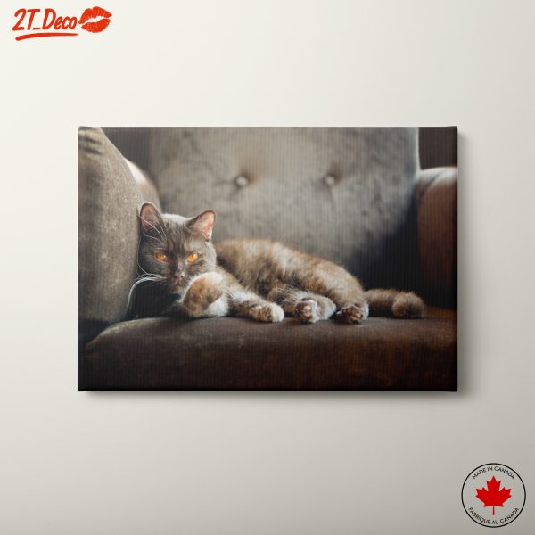 Beautiful Cat Wall Art for Cat Lovers