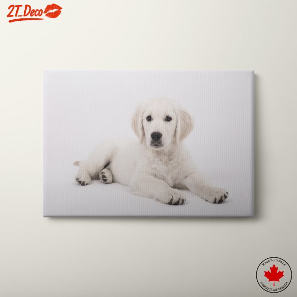 Adorable Puppy Wall Art