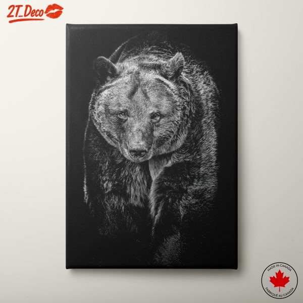 Majestic Black and White Bear