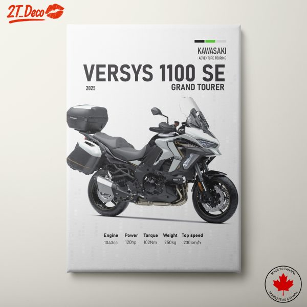 Kawasaki Versys 1100 SE Motorcycle
