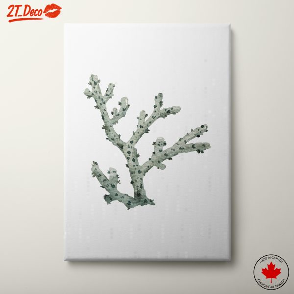Elegant Coral Illustration for Ocean Lovers