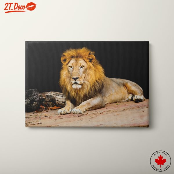 Majestic Lion Wall Art 5