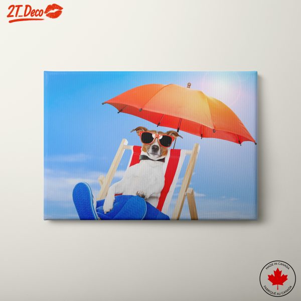 Charming Dog Relaxing Under Umbrella