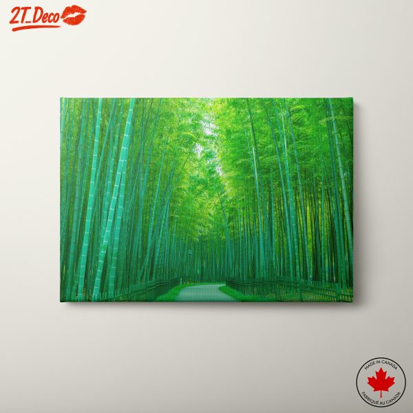 Serene Bamboo Forest Pathway