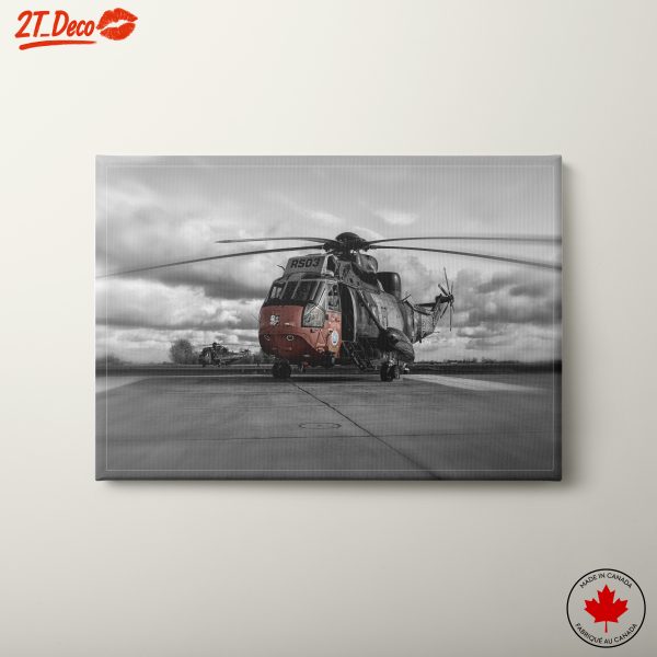 Stunning Helicopter in Dramatic Black and White