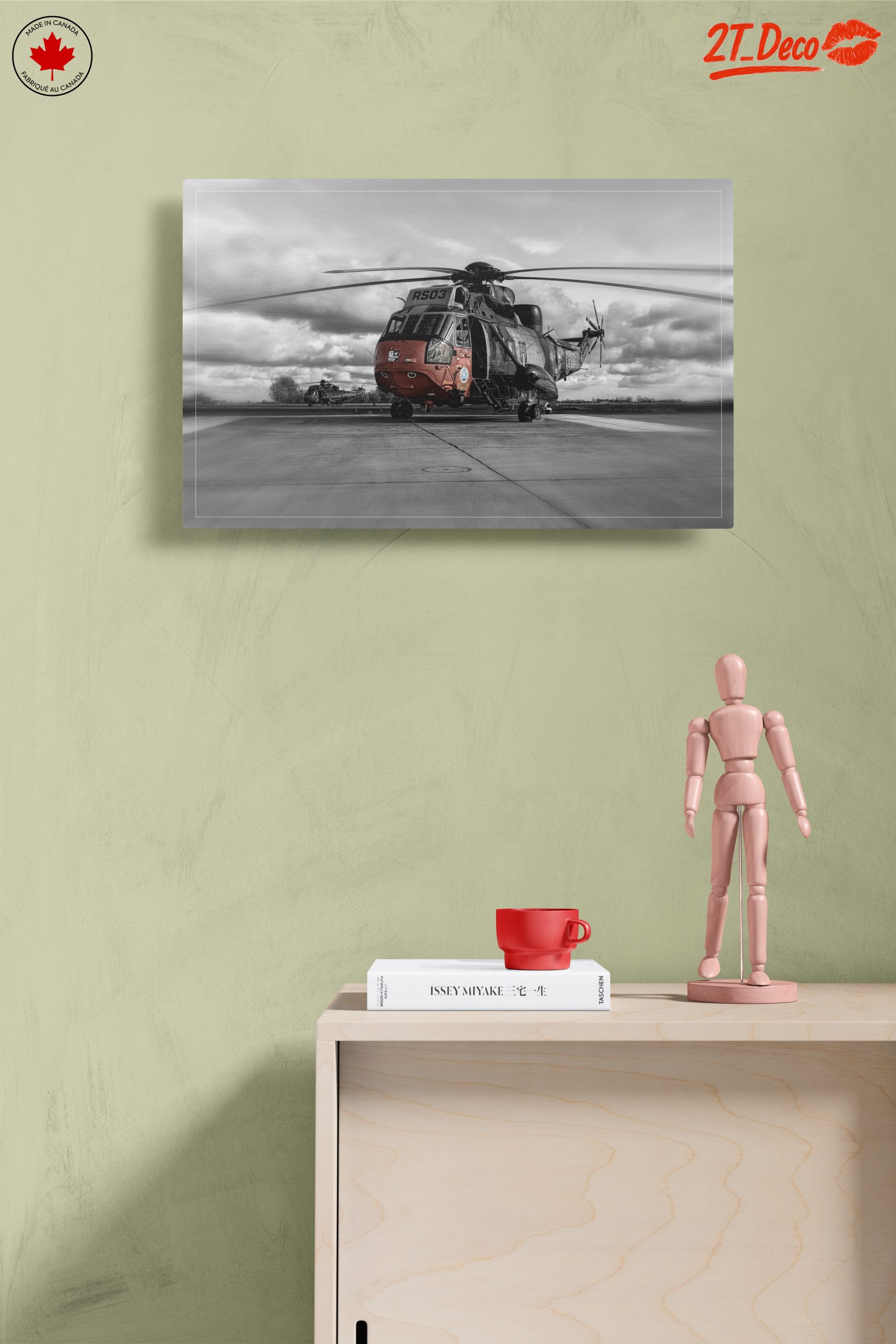Stunning Helicopter in Dramatic Black and White - Image 14