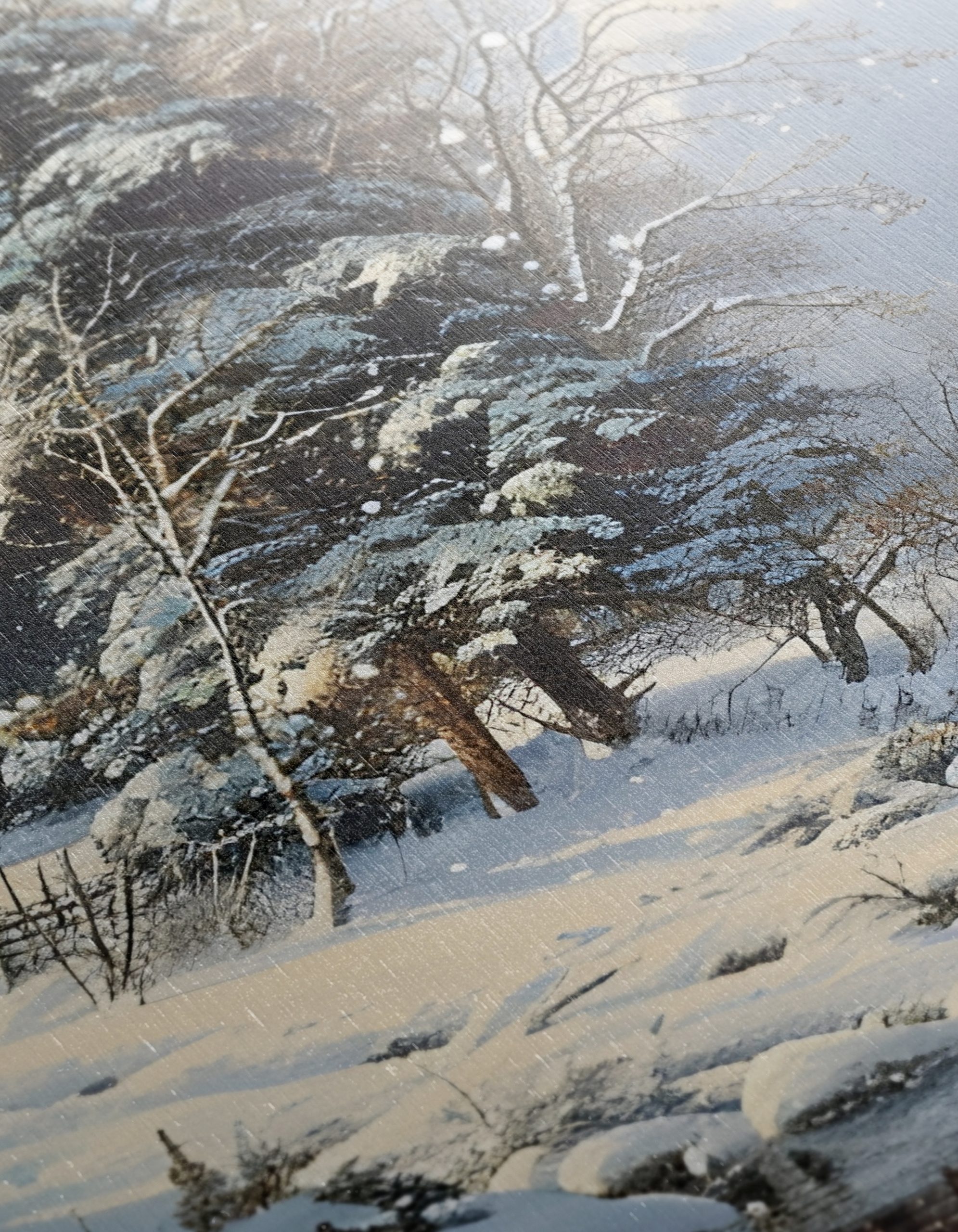 Charming Winter Landscape with Snowy Trees 2 - Image 12