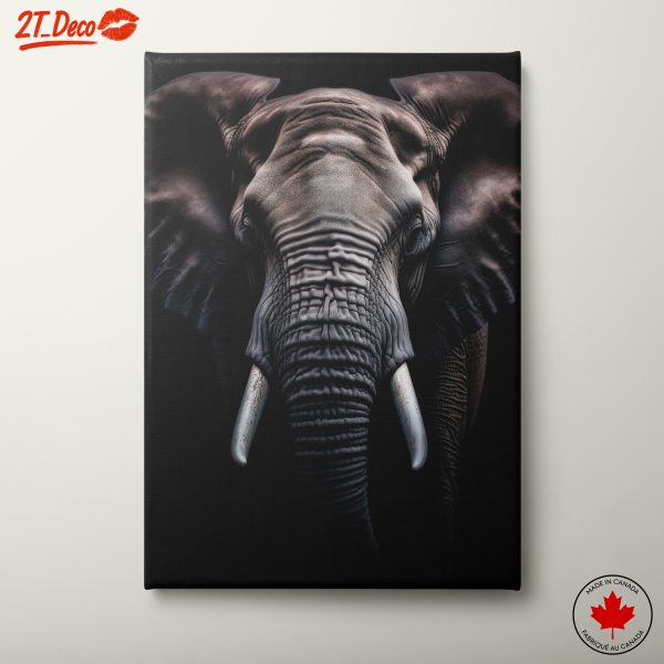 Stunning Black and White Elephant Wall Art