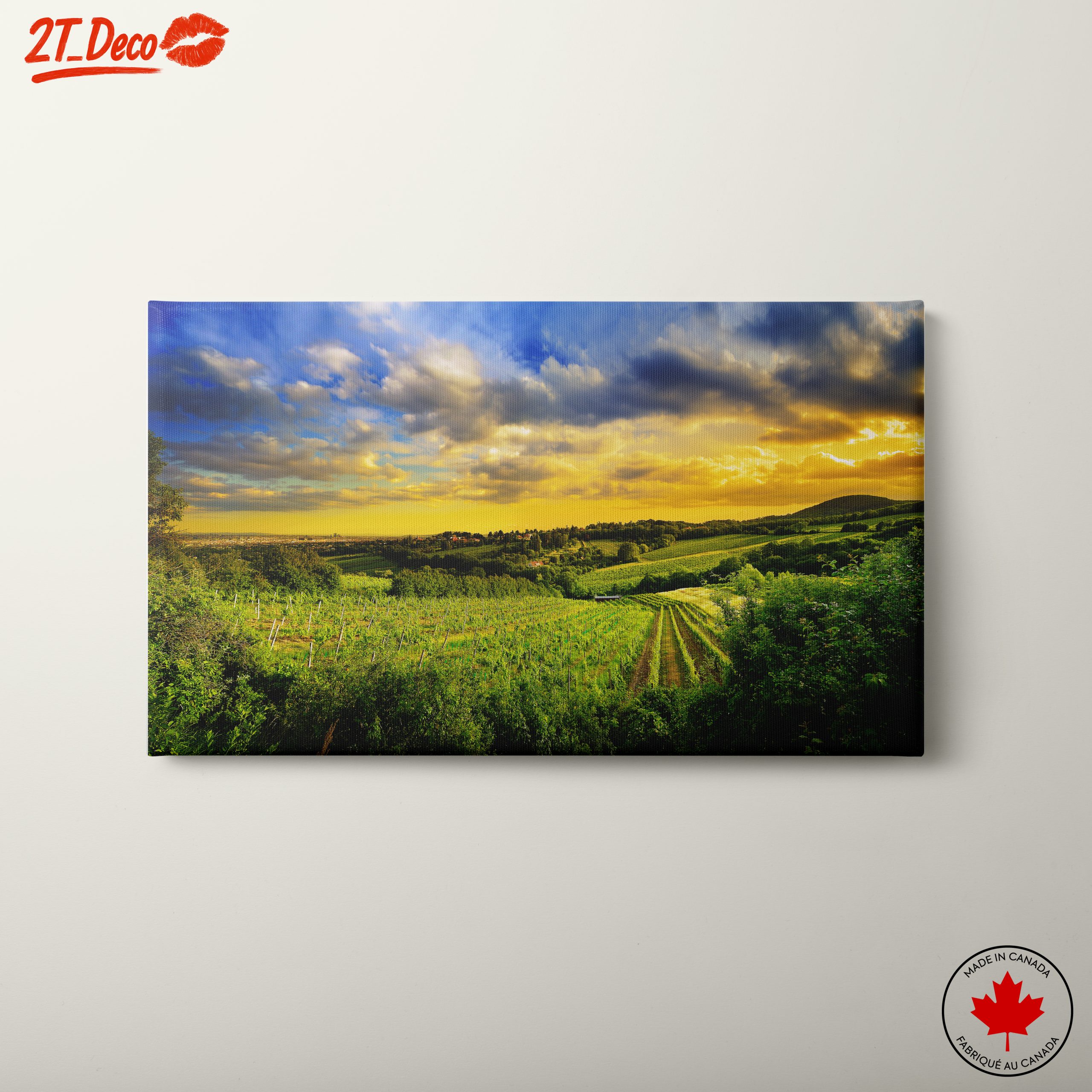Vibrant Vineyard Landscape at Sunset