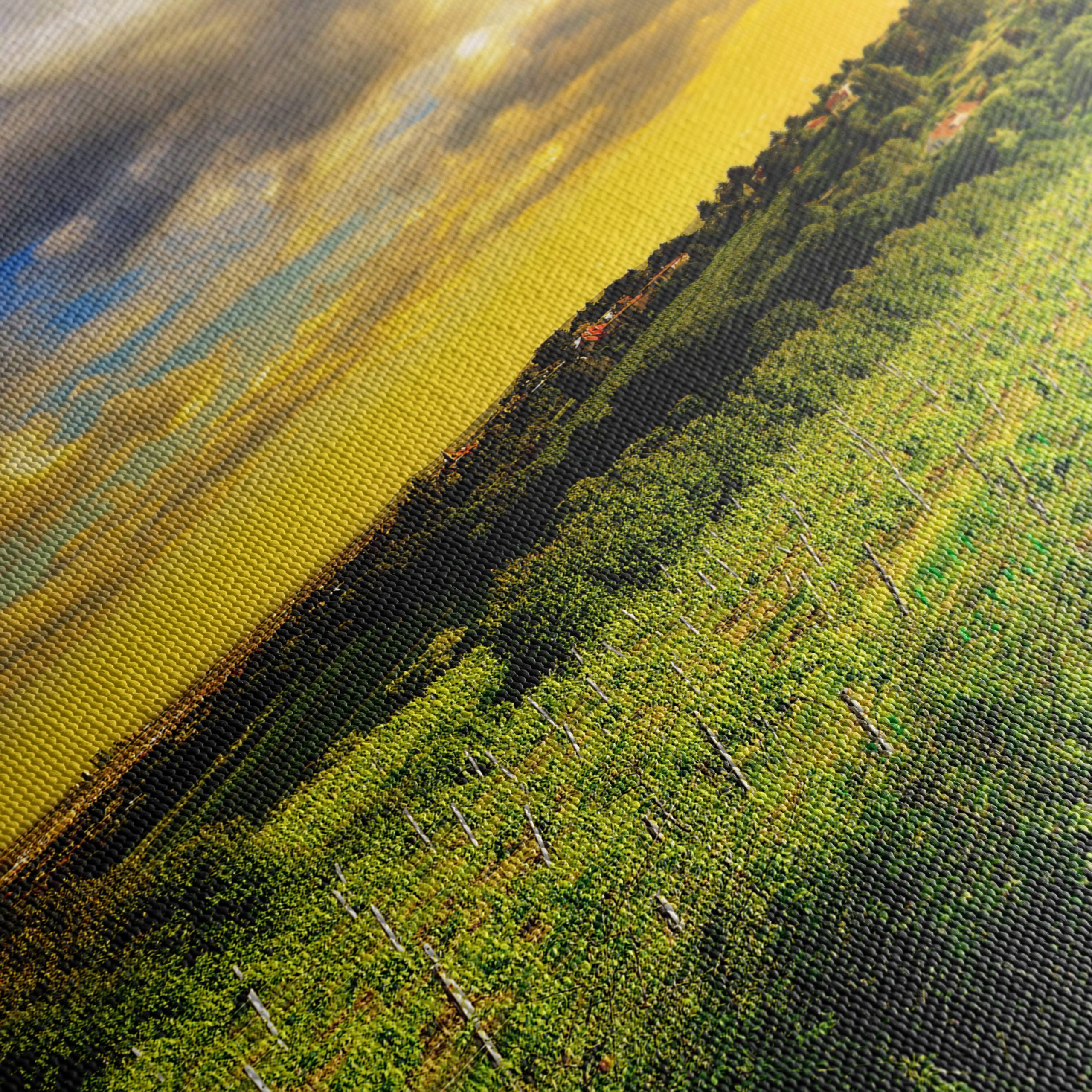Vibrant Vineyard Landscape at Sunset - Image 5