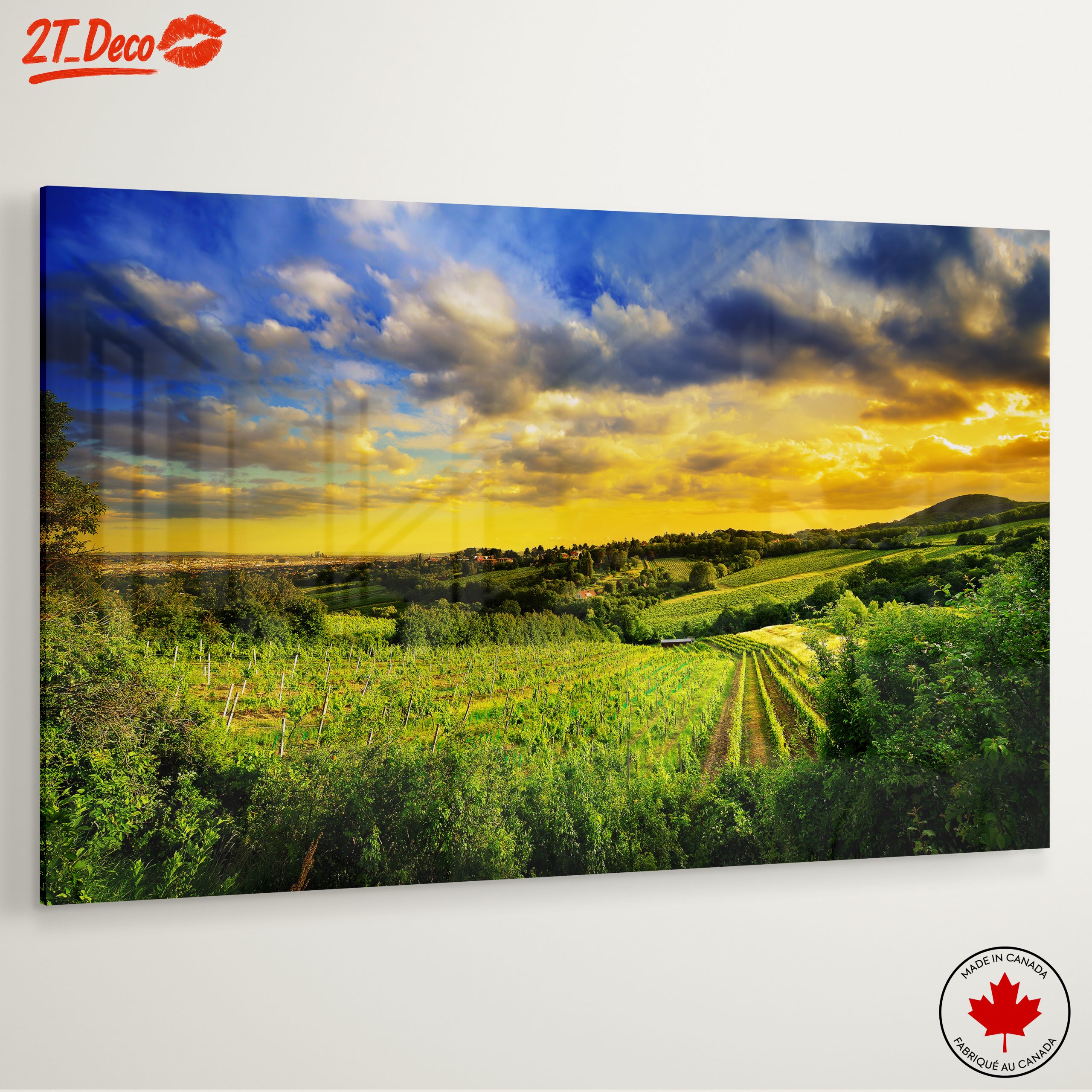 Vibrant Vineyard Landscape at Sunset - Image 6