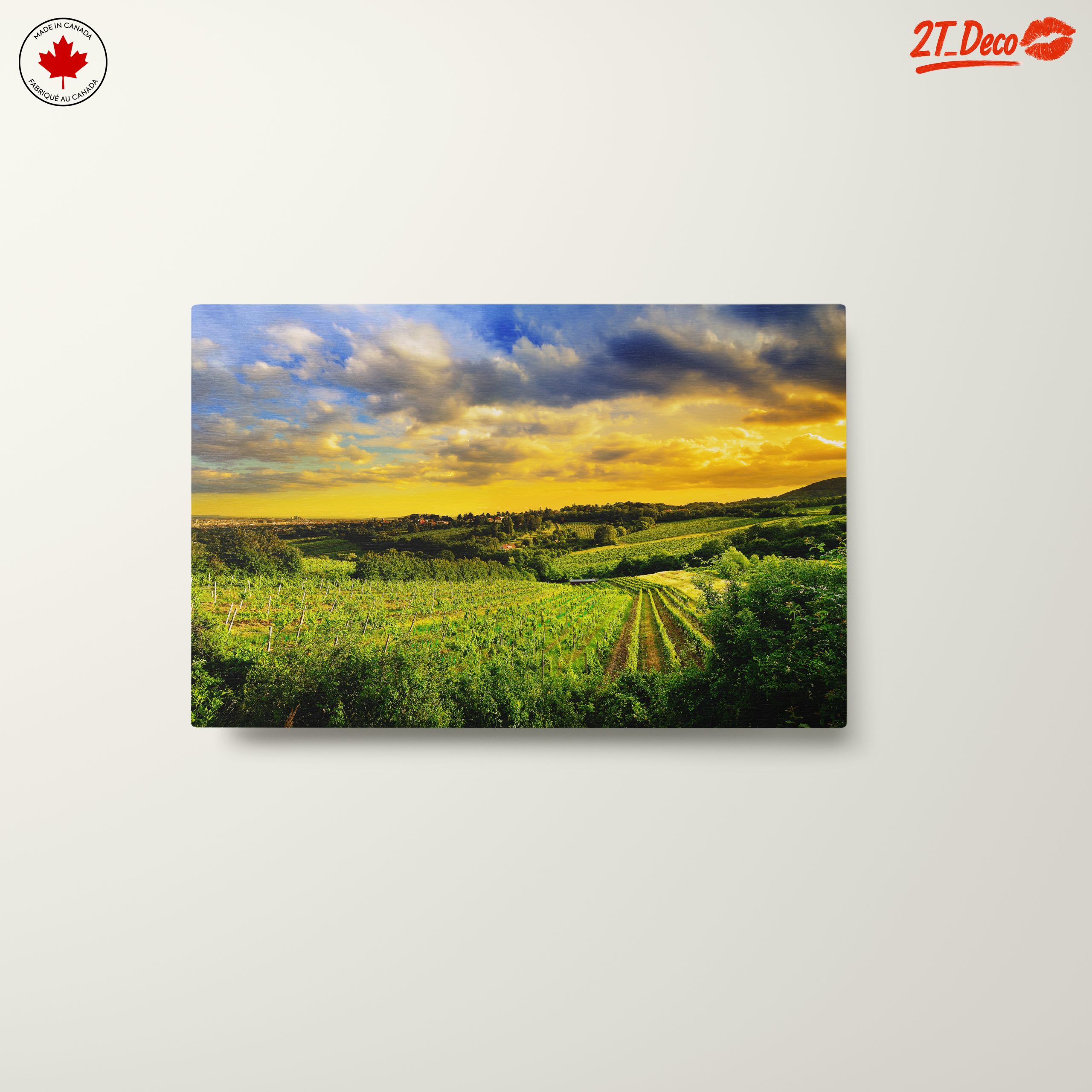 Vibrant Vineyard Landscape at Sunset - Image 10
