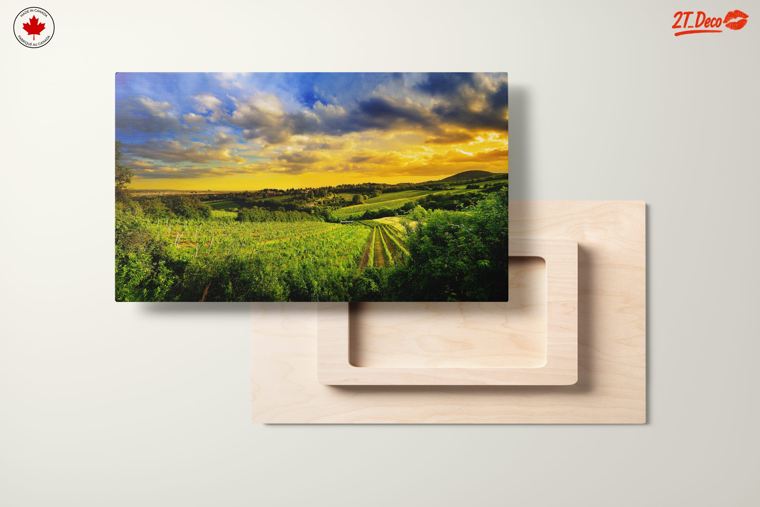 Vibrant Vineyard Landscape at Sunset - Image 11