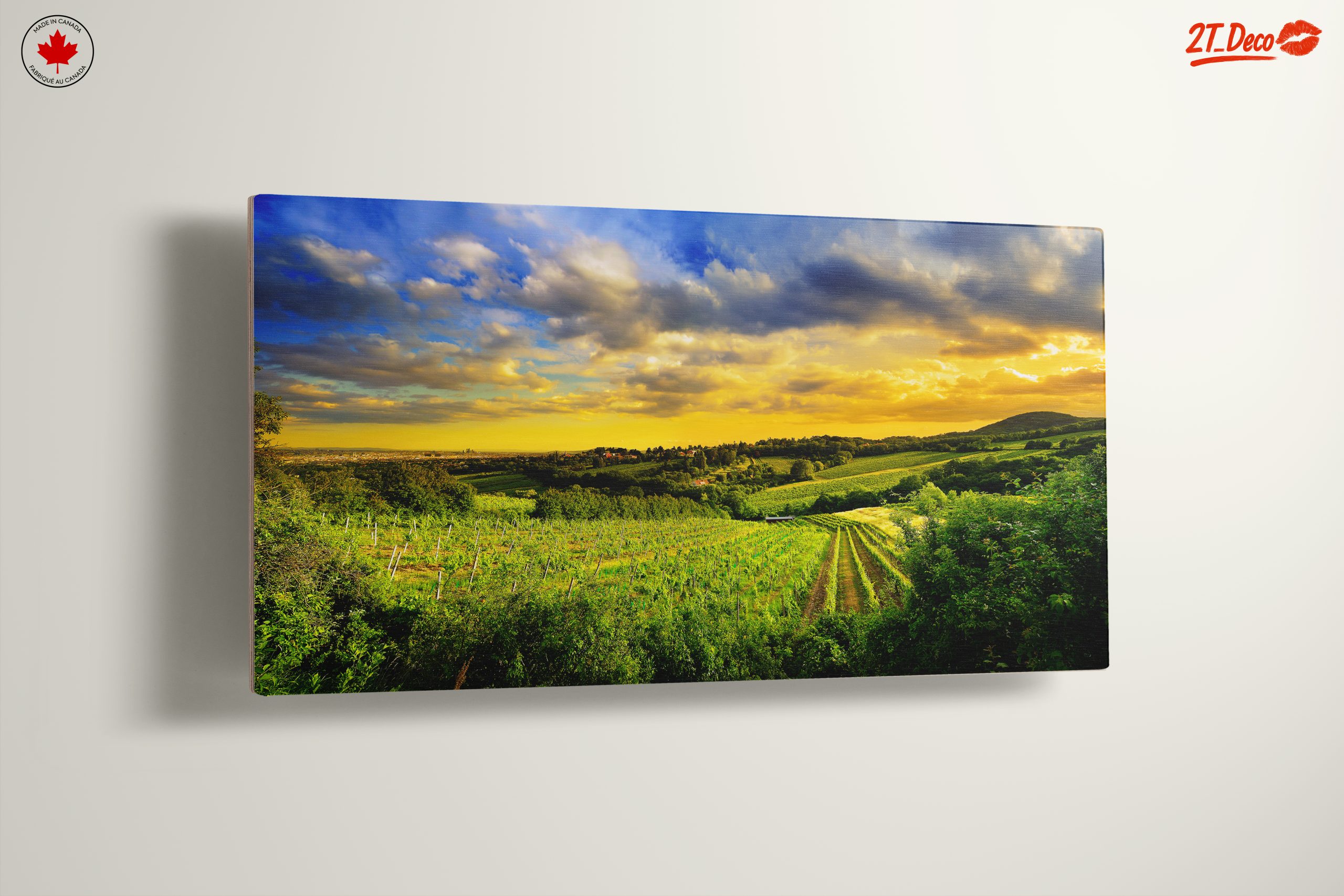 Vibrant Vineyard Landscape at Sunset - Image 13