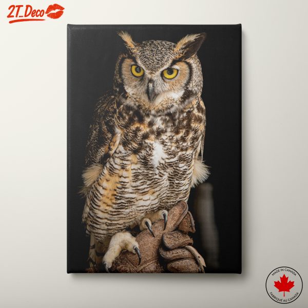 Majestic Owl Wall Art