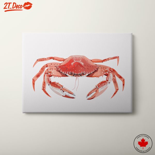Detailed Crab Illustration