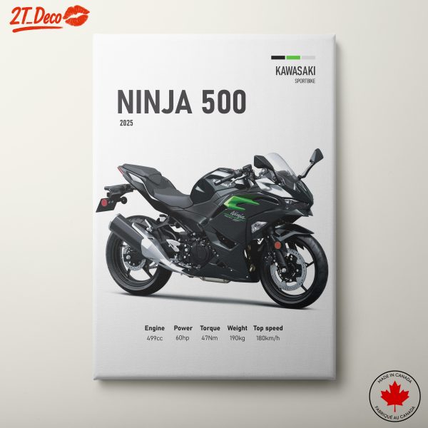 Kawasaki Ninja 500 Sportbike Artwork