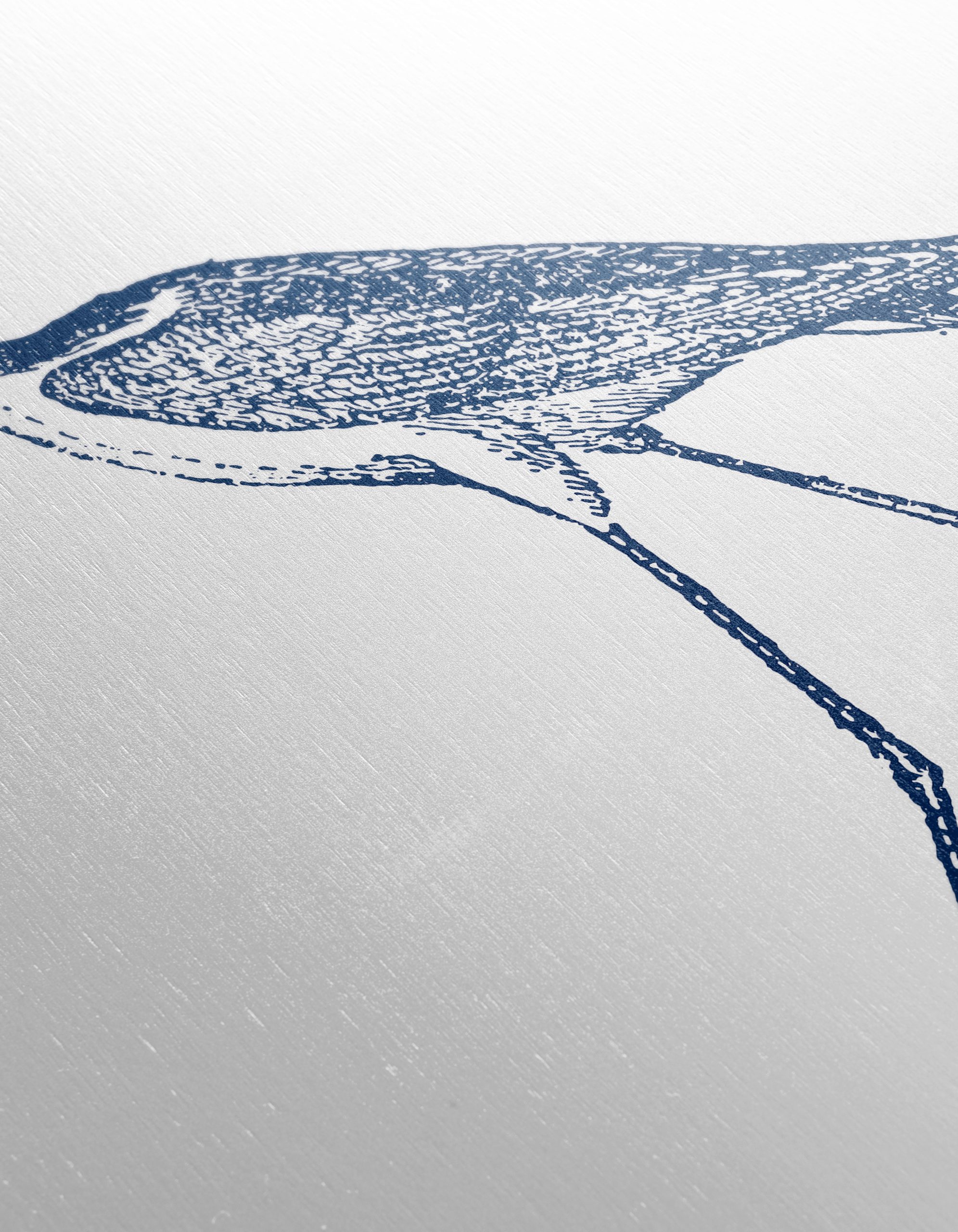 Elegant Bird Illustration in Blue - Image 12