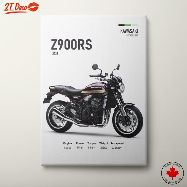 Kawasaki Z900RS Retro Motorcycle