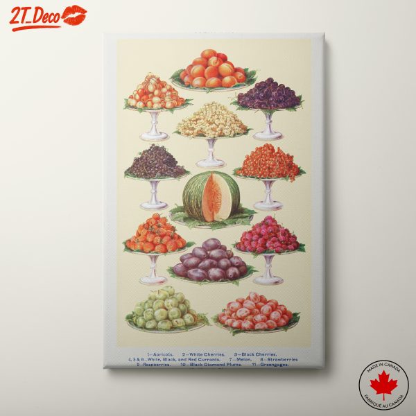 Stylized Fruit Display Art