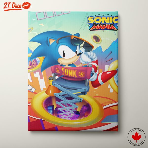 Sonic the Hedgehog in Sonic Mania Art