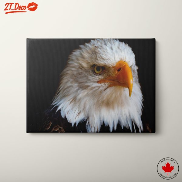 Stunning Eagle Portrait Artwork