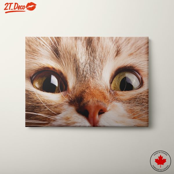 Close-Up Cat Eyes Wall Art