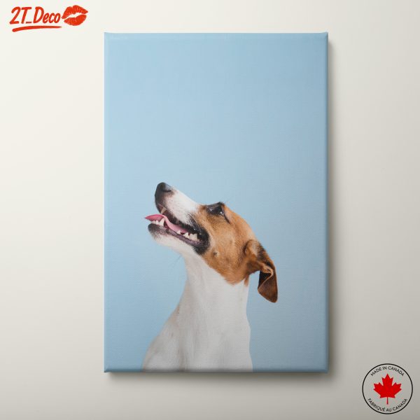 Inspiring Dog Portrait on Blue Background
