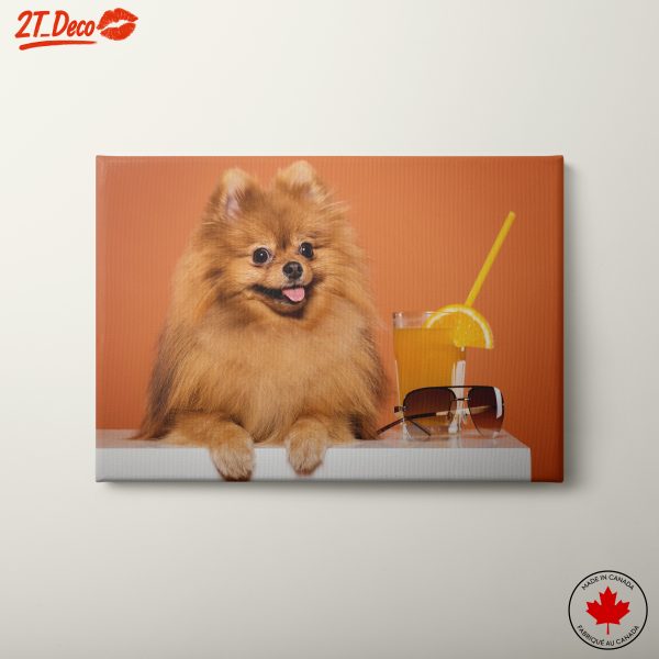Happy Pomeranian Dog with Drink