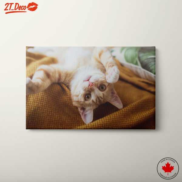 Playful Orange Cat Relaxing on Cozy Blanket