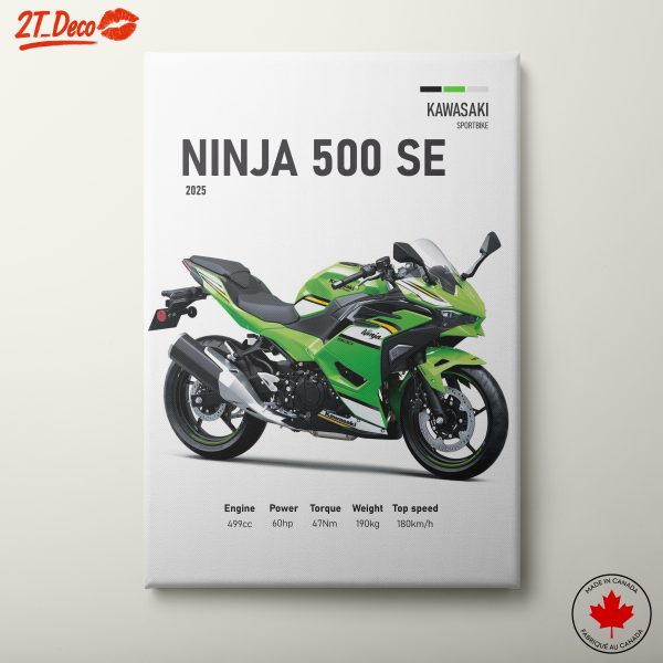 Kawasaki Ninja 500 SE Sportbike Art