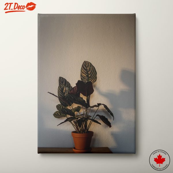 Decorative Indoor Plant Art