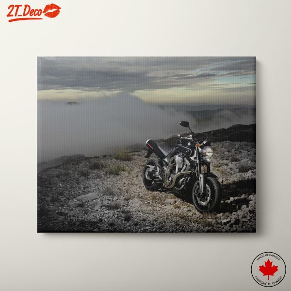 Dynamic Motorcycle Scene in Nature