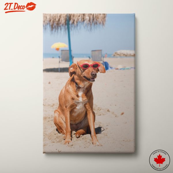 Dog Wearing Sunglasses at Beach